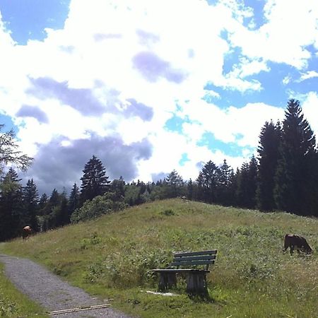 Landhaus Steinbrech Grainau Eksteriør bilde
